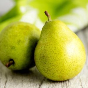 Meet your Posher, Ella